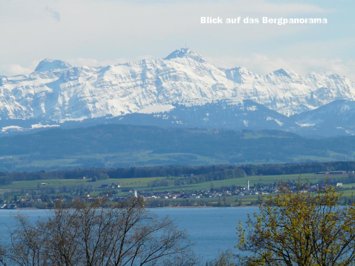 Ferienwohnung Seaview Meersburg Dış mekan fotoğraf